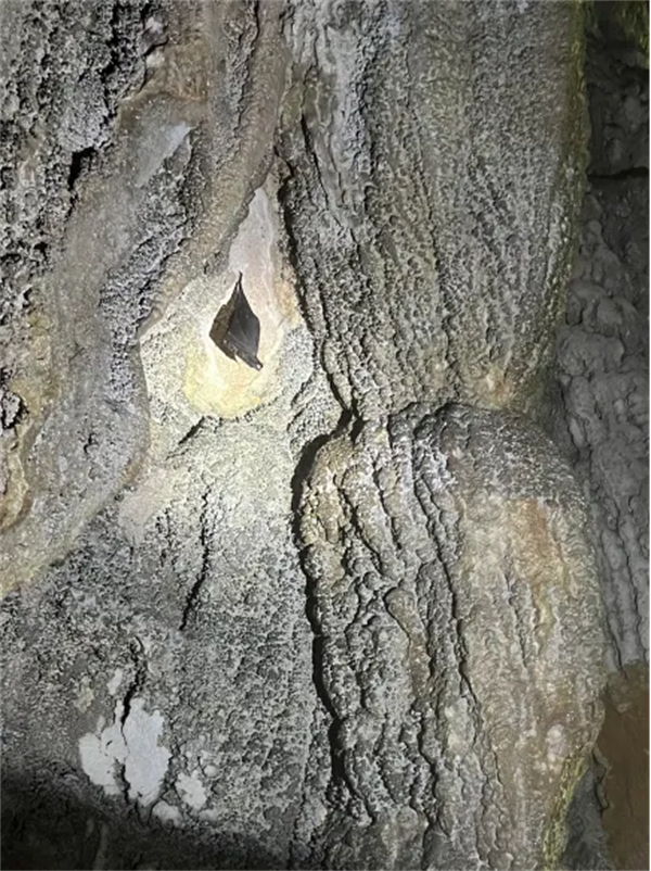 image2.jpg