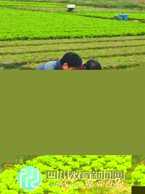 “海歸”為圓夢(mèng)放棄繼承家族生意自己創(chuàng)