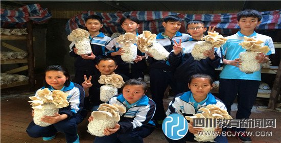 蜀西實驗學(xué)?！版邏粼贰遍_園啦！