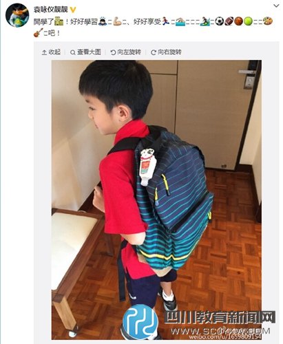 袁詠儀微博截圖