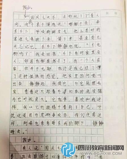 浙江6年級女生作文：高速變慢速 堵車堵成羊肉串