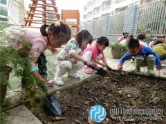二十三幼家長義工活動“播種希望，收獲