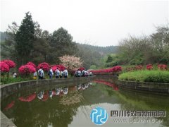 彭州中學(xué)開展清明踏青活動(dòng)