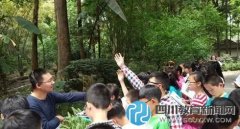 “草堂謁圣” 芳草小學(xué)四年級(jí)開展國(guó)學(xué)游