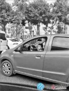 云南驚現(xiàn)幼童開(kāi)車(chē)上路 嚇呆路人