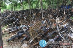 畢業(yè)季，濟(jì)南一高校又現(xiàn)自行車“墳場”