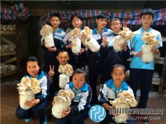 蜀西實(shí)驗學(xué)?！版邏粼贰遍_園啦！