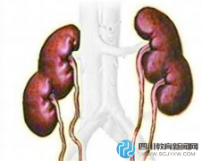 高中女生四個(gè)腎驚呆醫(yī)生 網(wǎng)友：能捐贈嗎
